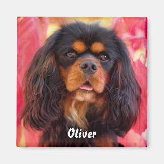 Black and Tan Cavalier King Charles Spaniel Dog Magneet