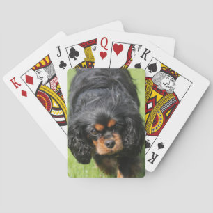 Black and Tan Cavalier King Charles Spaniel Dog Pokerkaarten