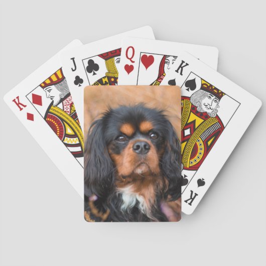 Black and Tan Cavalier King Charles Spaniel Dog Pokerkaarten (Achterkant)
