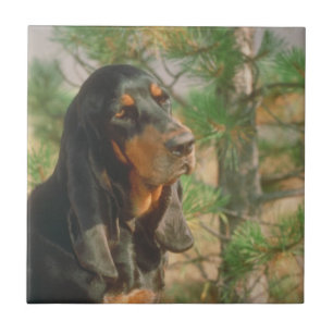Black and Tan Coonhound Tile Tegeltje
