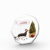 Black and Tan Dachshund Funny Kersthond Fotoblokken (Links)