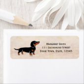 Black and Tan Dachshund Posing Etiket (Insitu)
