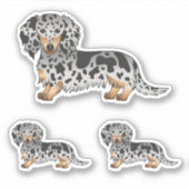Black and Tan Dapple Long Hair Dachshund Dogs Sticker (Voorkant)