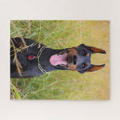 Black and Tan Doberman Pinscher Legpuzzel (Horizontaal)