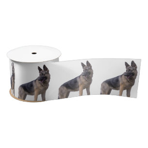 Black and Tan German Shepherd Dog Lint