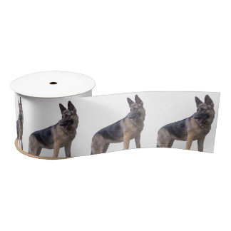 Black and Tan German Shepherd Dog Lint