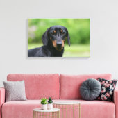 Black and Tan Miniture Dachshund 1 Canvas Afdruk (Insitu (Woonkamer))