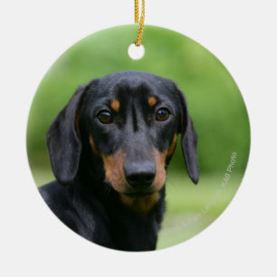 Black and Tan Miniture Dachshund 1 Keramisch Ornament