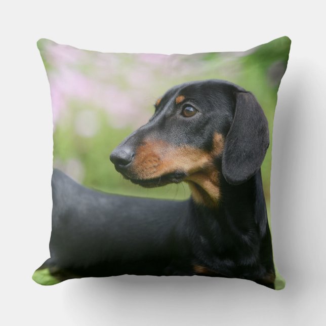 Black and Tan Miniture Dachshund 2 Kussen (Voorkant)