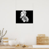 Black and White Alstroemeria Lily Poster (Cuisine)