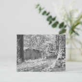 Black and White Backlit Rural Snow Scene Briefkaart (Staand voorkant)