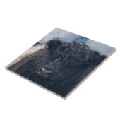 Black and White Belted Galloway Koe Close-Up Tegeltje (Zijkant)