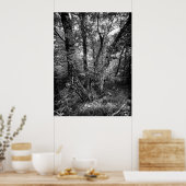 black and white birch forest poster (Keuken)