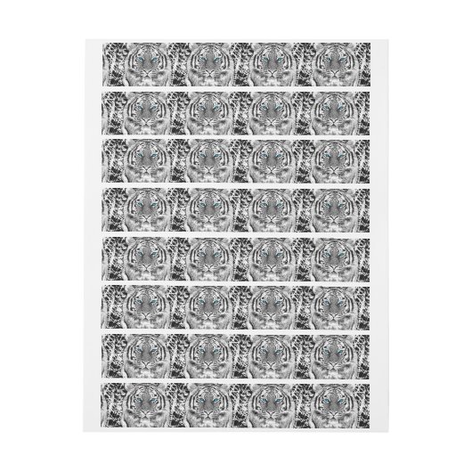 Black and White Blue Eyes Tiger Graphic (Vel)