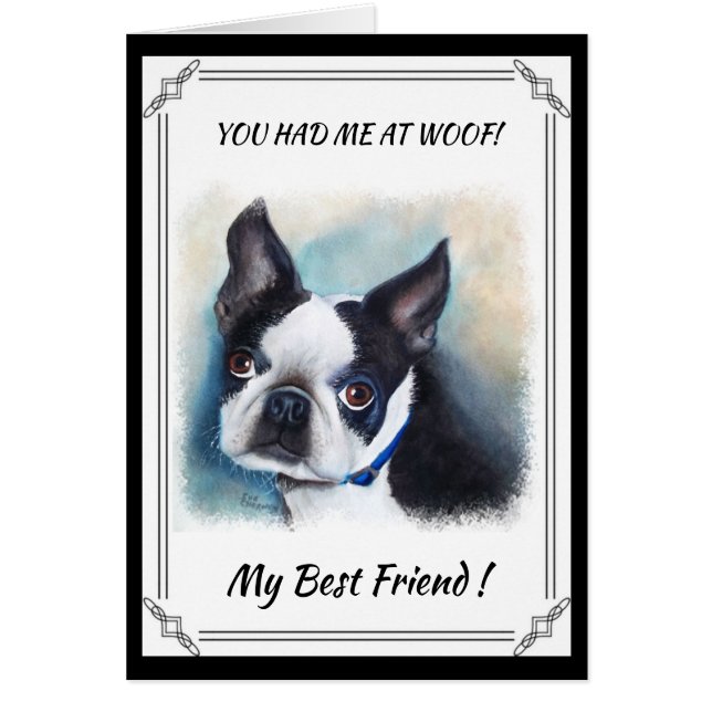 BLACK AND WHITE BOSTON TERRIER (Voorkant)