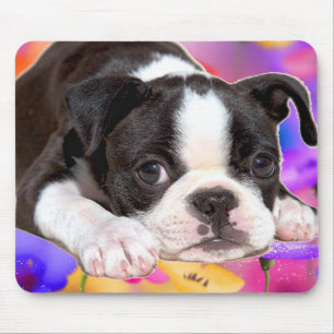 Black and White Boston Terrier Mousepad Muismat