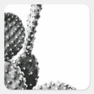 Black and White Cactus Zwart en Wit Vierkante Sticker