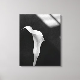 Black and White Calla Lily Canvas Afdruk