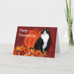 Black and White Cat zegt Happy Thanksgiving Kaart