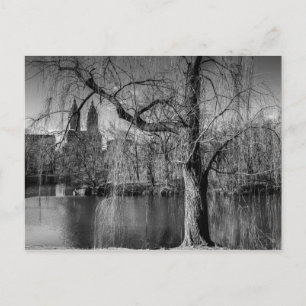 Black and White Central Park New York Landscape Briefkaart