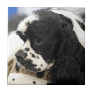 Black and White Cocker Spaniel Trivet Tegeltje
