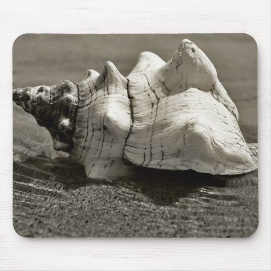 Black and White Conch Shell Muismat (Voorkant)