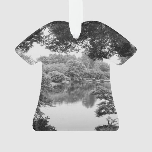 Black and white, cool, unique nature et lake (dos)