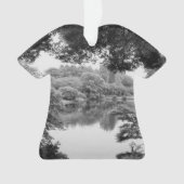 Black and white, cool, unique nature et lake (devant)