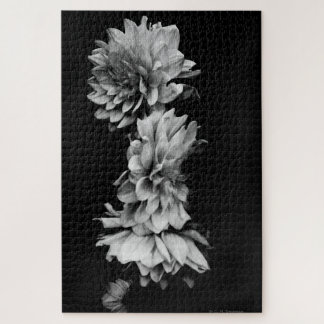 Black-and-White Dahlia Trio Legpuzzel