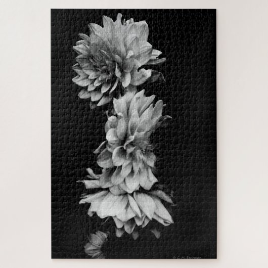 Black-and-White Dahlia Trio Legpuzzel (Verticaal)