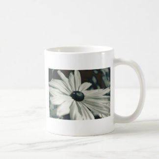 Black and White - Eyed Susan Koffiemok