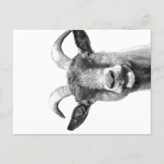Black and White Goat _Funny Goat Canvas| Feestdagenkaart