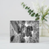 Black and White Idol Rock Afbeelding Briefkaart Br (Staand voorkant)