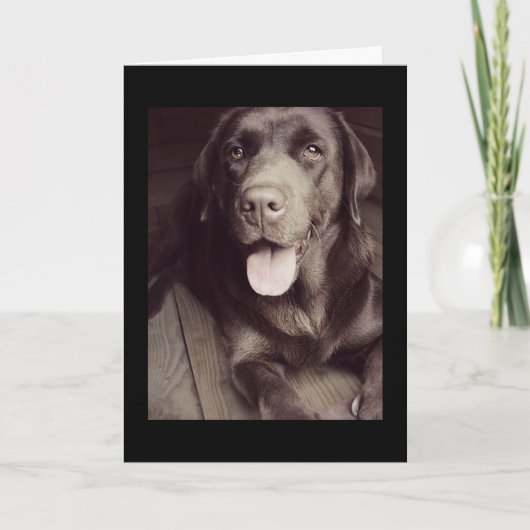 Black And White Labrador Retriever Dog Note Card Kaart (Voorkant)