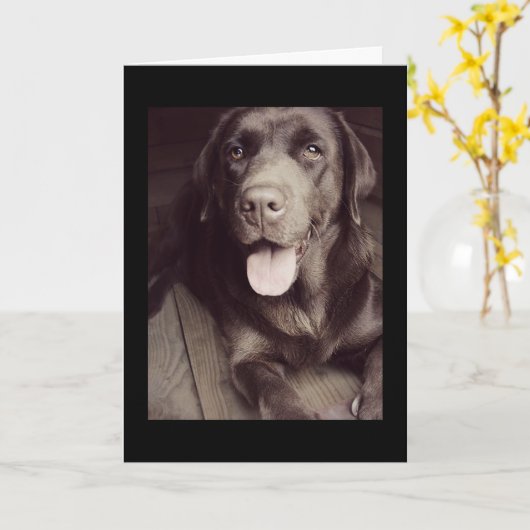 Black And White Labrador Retriever Dog Note Card Kaart (Gele Bloem)