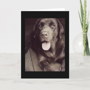 Black And White Labrador Retriever Dog Note Card Kaart