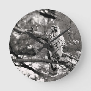 Black and White Natuur Red schuurde Hawk - Ronde Klok