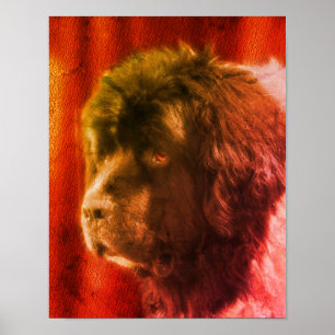 Black and White Newfoundland Dog Face Abstract Poster