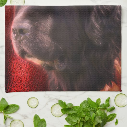 Black and White Newfoundland Dog Face Theedoek (Gevouwen)