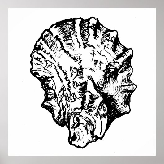 Black and White Oyster Shell Poster (Devant)