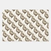 Black and white pencil drawing of a sleeping cat inpakpapier vel (Voorkant 3)