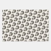 Black and white pencil drawing of a sleeping cat inpakpapier vel (Voorkant)