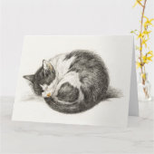 Black and white pencil drawing of a sleeping cat kaart (Gele Bloem)