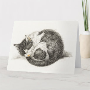 Black and white pencil drawing of a sleeping cat kaart