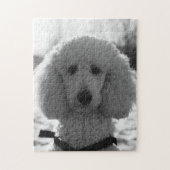 Black and White Poodle Face Puppy Eyes Legpuzzel (Verticaal)