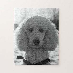 Black and White Poodle Face Puppy Eyes Legpuzzel