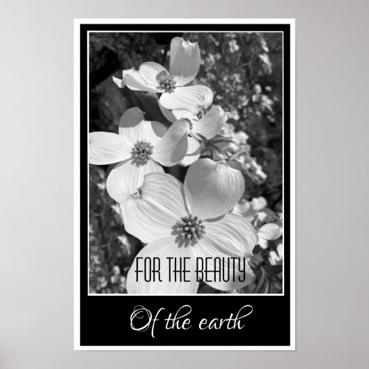 Black and White Reflections For the Beauty Poster (Devant)