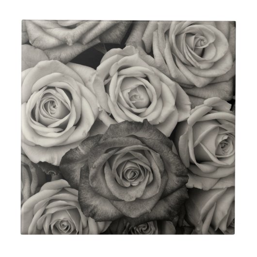 Black and White Roses Tegeltje (Voorkant)