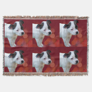 Black and White staffordshire Bull Terrier Puppy Deken