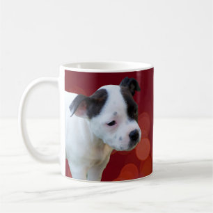Black and White Staffordshire Bull Terrier Puppy, Koffiemok